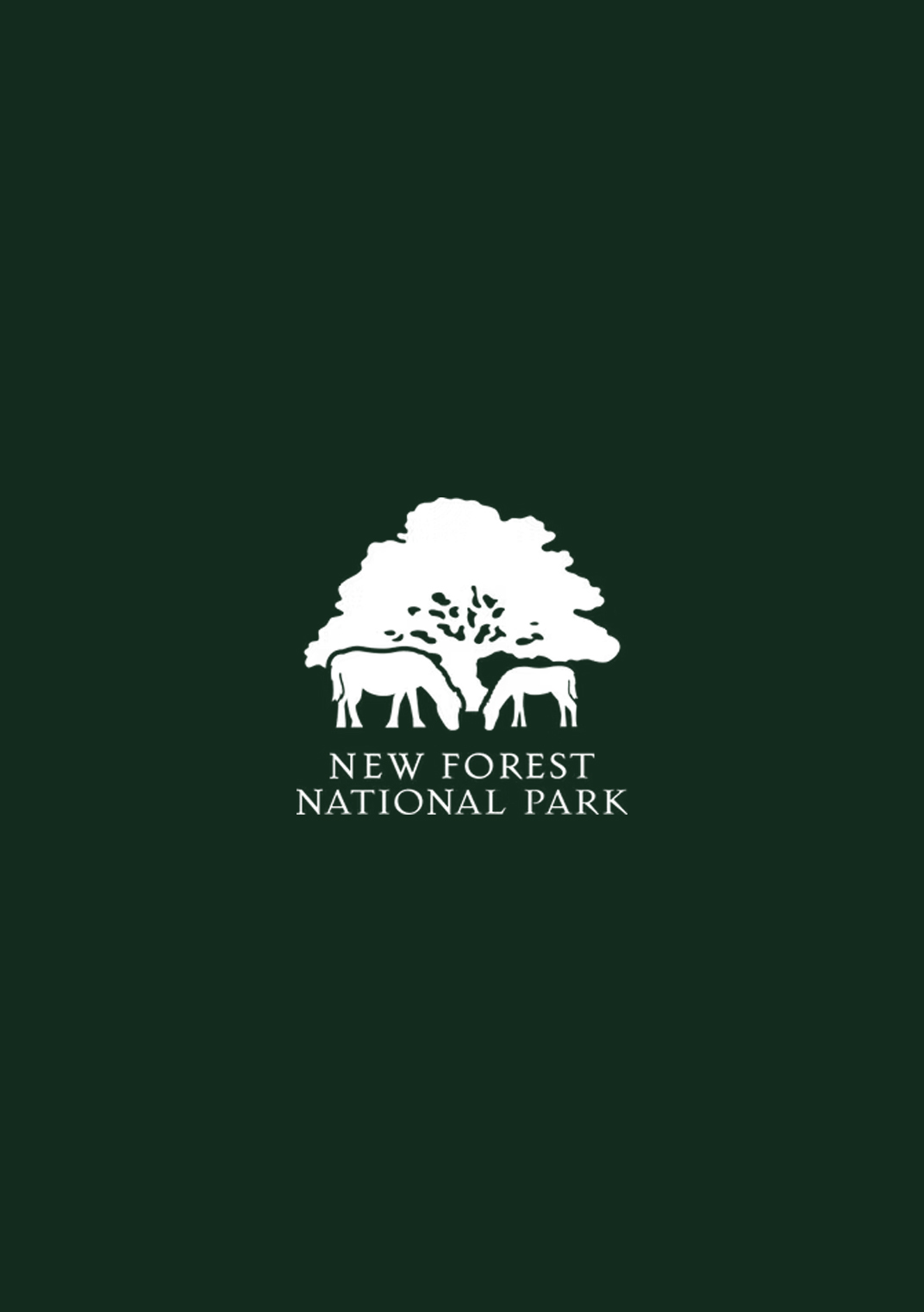 Reflections on the New Forest wildfire
