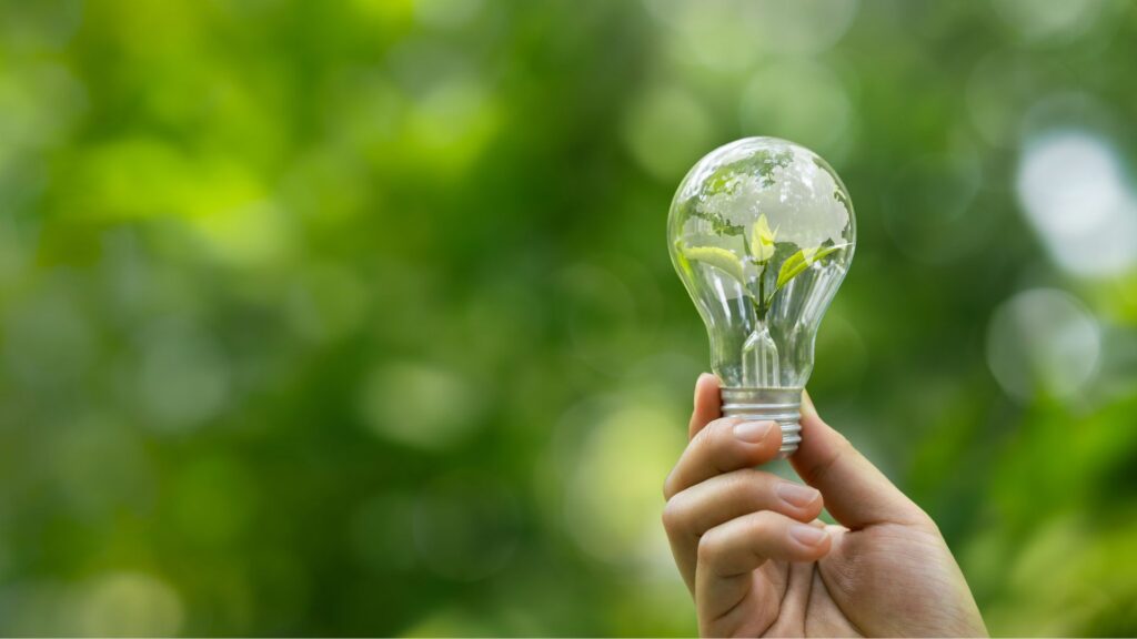 Hand holding a clear light bulb with a small green plant inside against a blurred green background