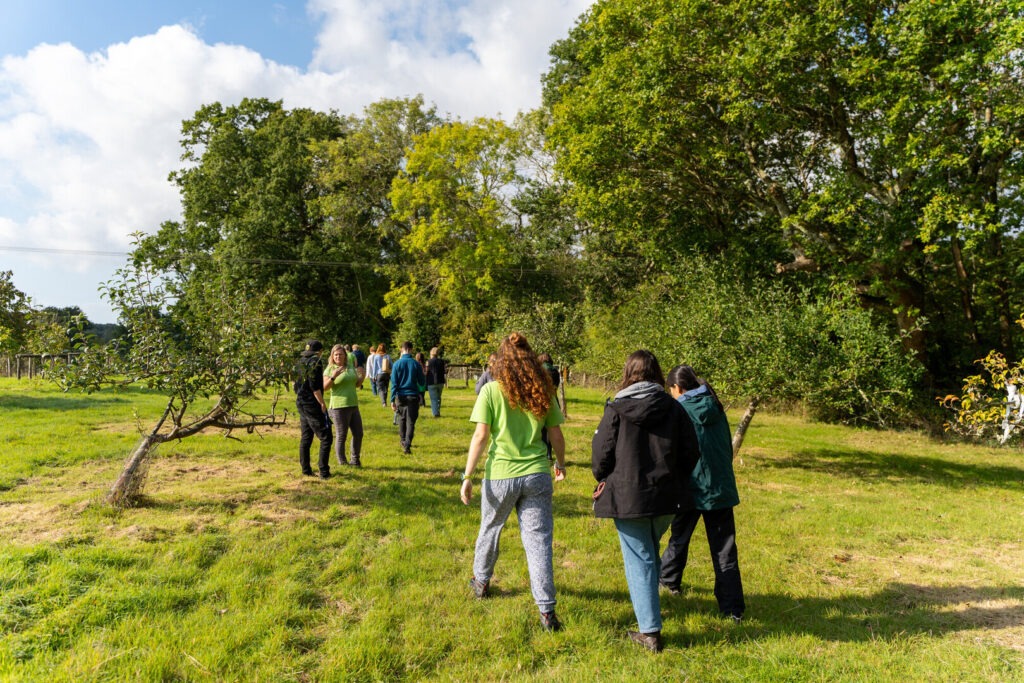Group of people walking through a grassy orchard on a sunny day, with trees lining the path