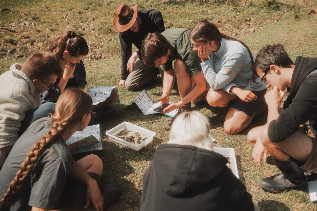 Students kneel on grass examining a tray of water and debris with identification guides during an outdoor water sampling activity