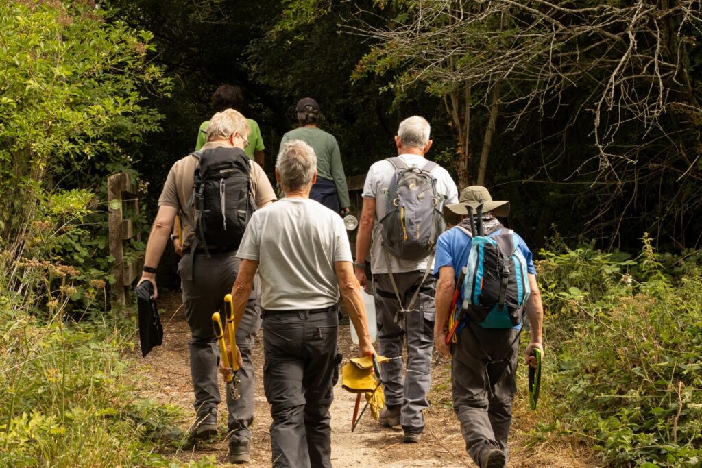 Group of hikers with backpacks and walking poles on a wooded trail, seen from behind